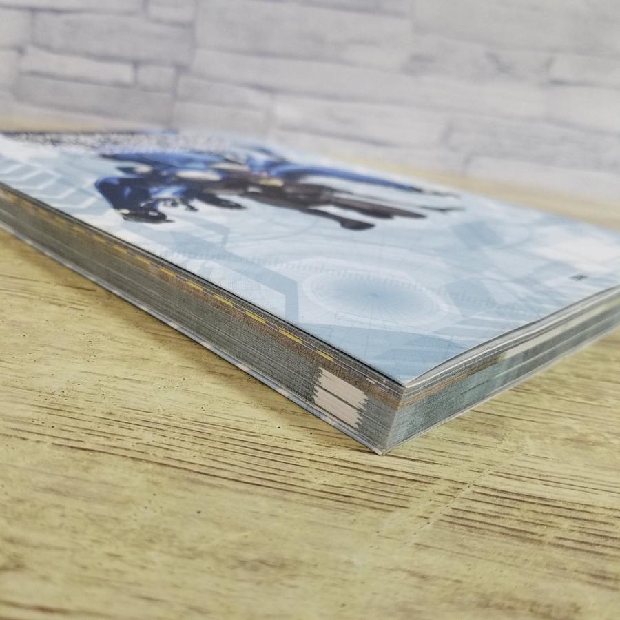 アニメ系[攻殻機動隊 STAND ALONE COMPLEX ビジュアル