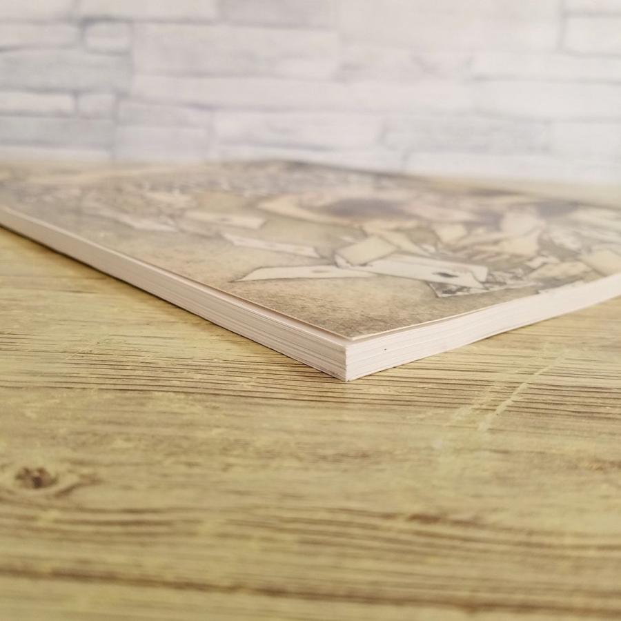 画集[アーサー・ラッカム画集 THE ARTHUR RACKHAM TREASURY : 86 画集[アーサー・ラッカム画集 THE ARTHUR RACKHAM TREASURY : 86