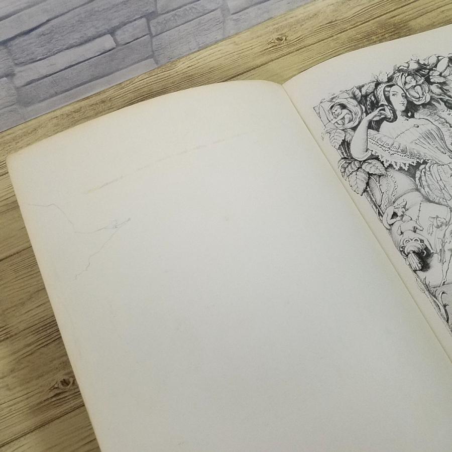 画集[ブック・オブ・フェアリーズ The Book of Fairies] 19世紀から20