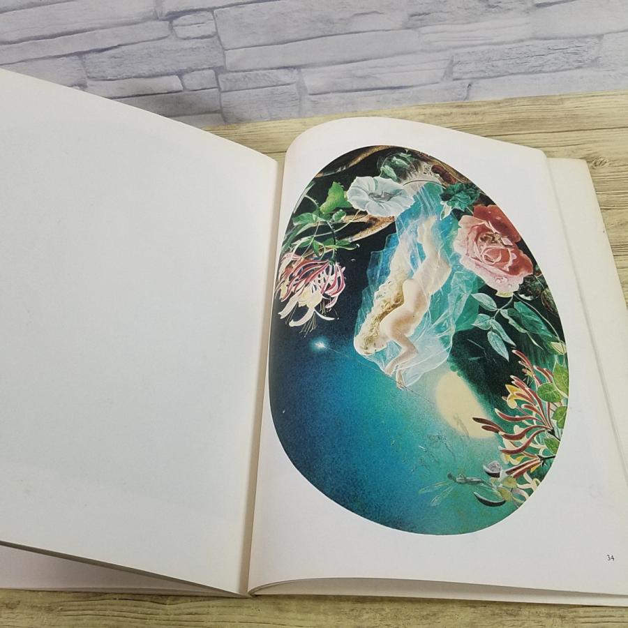 画集[ブック・オブ・フェアリーズ The Book of Fairies] 19世紀から20
