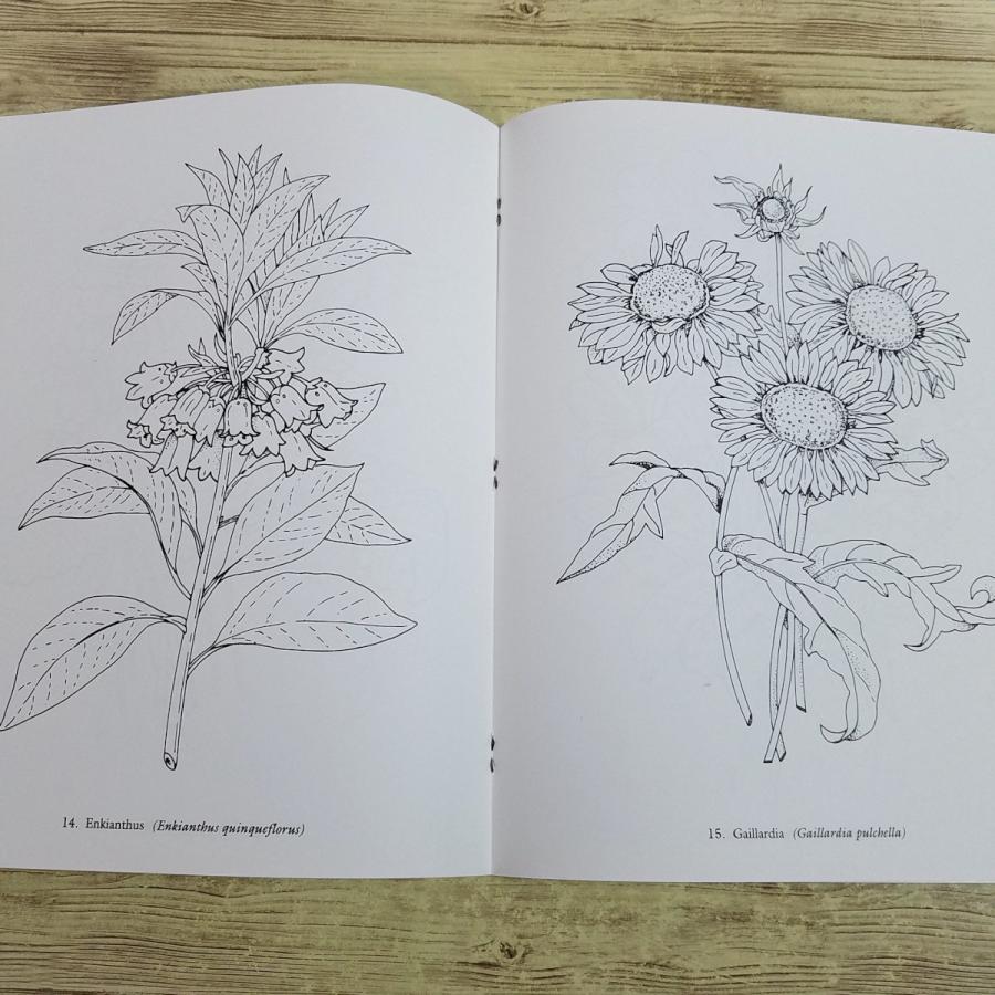 塗り絵[ルドゥーテの植物画 カラーリングブック Redoute Flowers