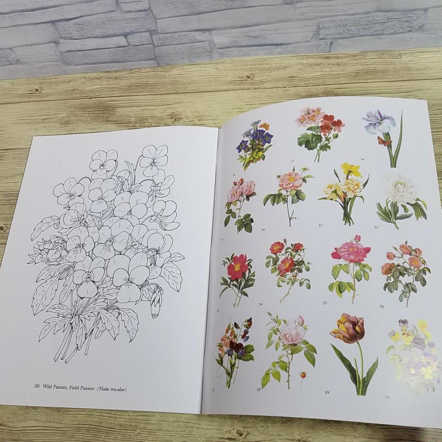 塗り絵[ルドゥーテの植物画 カラーリングブック Redoute Flowers