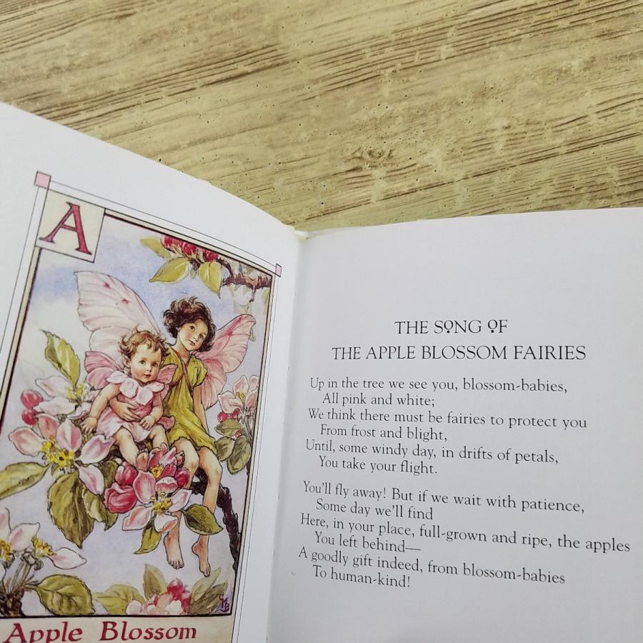 画集[シシリー・メアリー・バーカー A FLOWER FAIRY ALPHABET(文庫