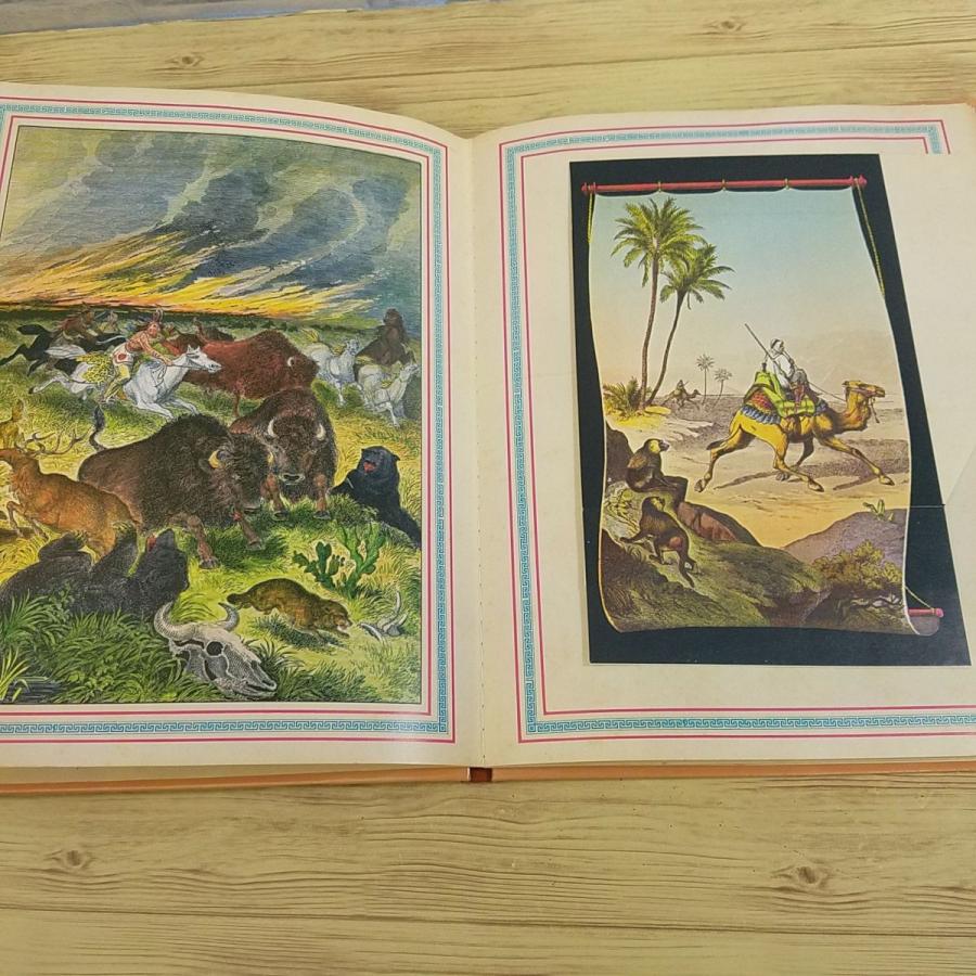 仕掛絵本[アーネスト・ニスター Grosse Menagerie （ドイツ語版