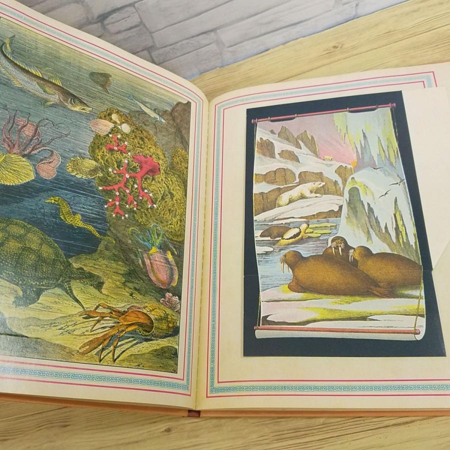 仕掛絵本[アーネスト・ニスター Grosse Menagerie （ドイツ語版