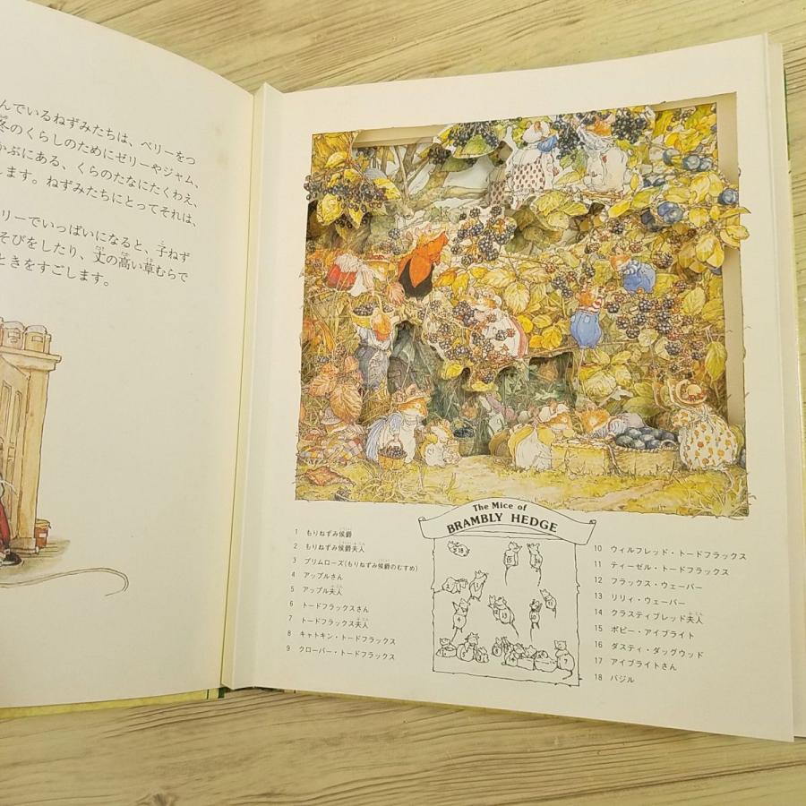 仕掛絵本[野原のむこうの ものがたり しかけえほん] のばらの村の