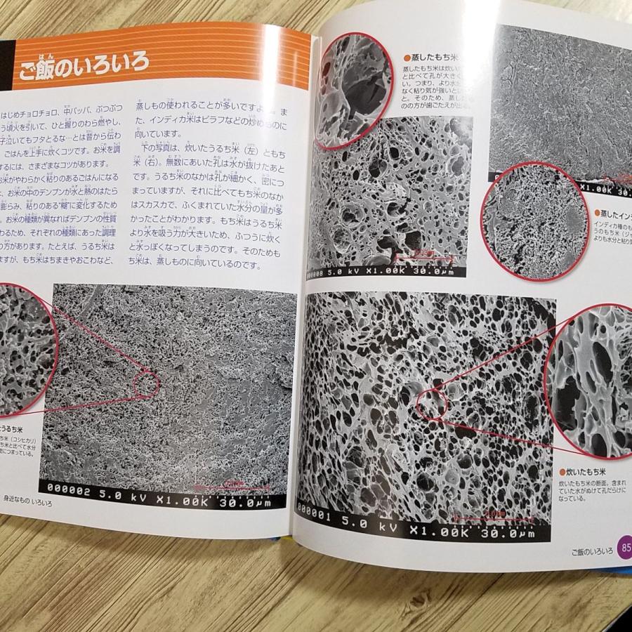 図鑑[電子顕微鏡でみる超ミクロの世界] 子供の科学 理科 生物 : FUNFUN