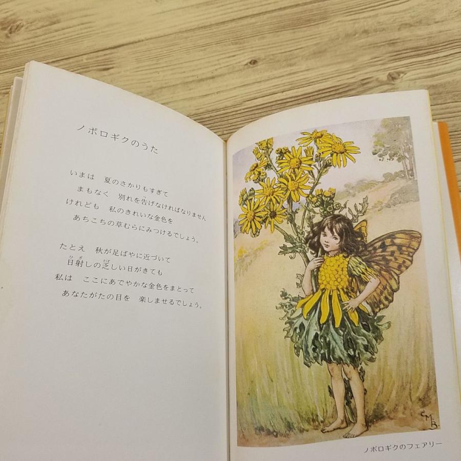 画集[シシリー・メアリー・バーカー FLOWER FAIRIES of the Summer な