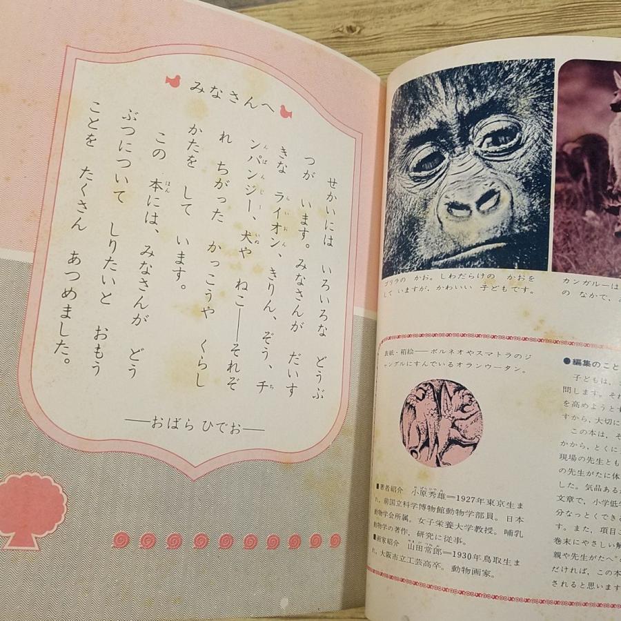 図鑑[絵百科 なぜとなに？ クイズつき 3 どうぶつのふしぎ（昭和44年