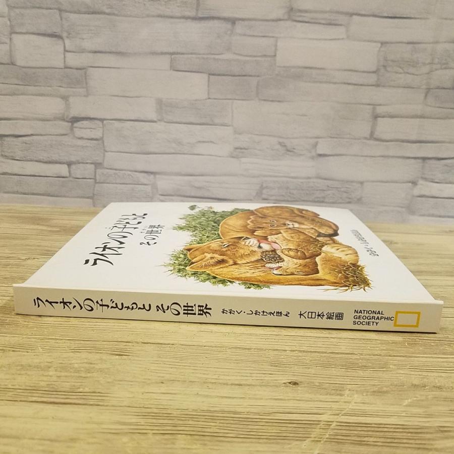 仕掛絵本[ライオンの子どもと その世界 かがく・しかけえほん