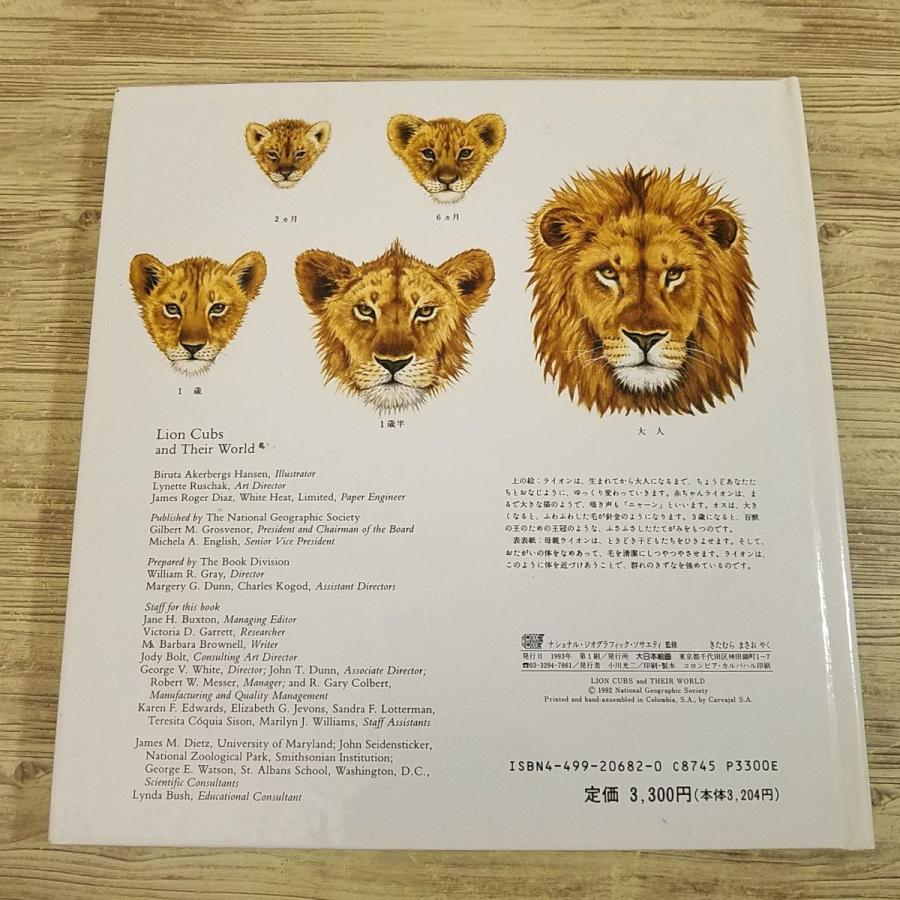 仕掛絵本[ライオンの子どもと その世界 かがく・しかけえほん