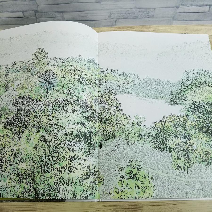 期間限定特価】絵本[みんなでたのしむ もりのえほん] 安野光雅 隠れた