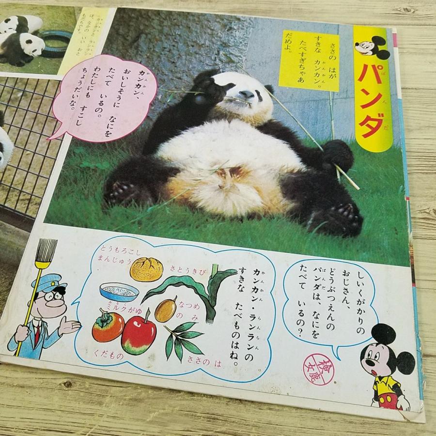 【昭和レトロ】しぜんのせかい　動物の絵本（図鑑） 仕掛絵本図鑑 動物の見ている世界 | ギヨーム・デュプラ,渡辺 滋人