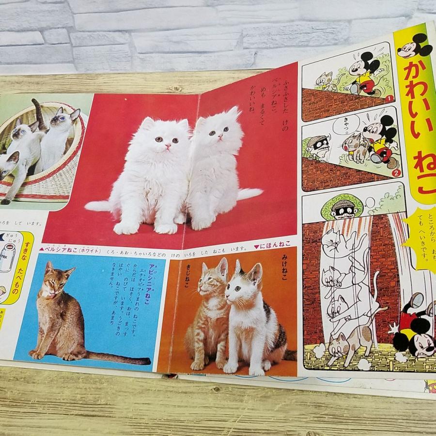 図鑑[ディズニー幼稚園図鑑 かわいい どうぶつのずかん] 1974年 動物