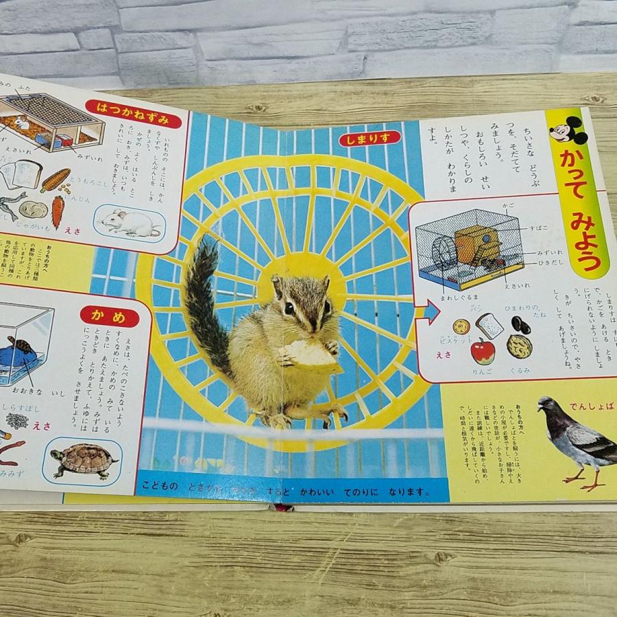 【昭和レトロ】しぜんのせかい　動物の絵本（図鑑） 講談社 - 昭和レトロ絵本 どうぶつずかんの通販 by サー's shop