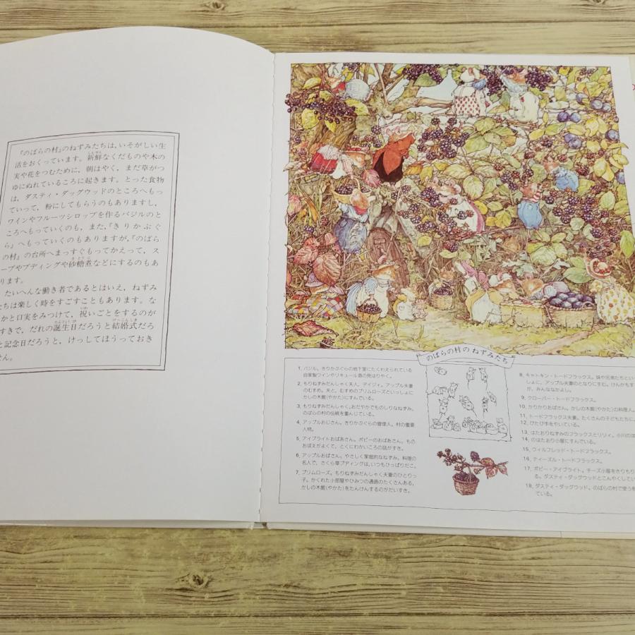 期間限定特価】絵本[のばら村のものがたり はる・なつ・あき・ふゆ