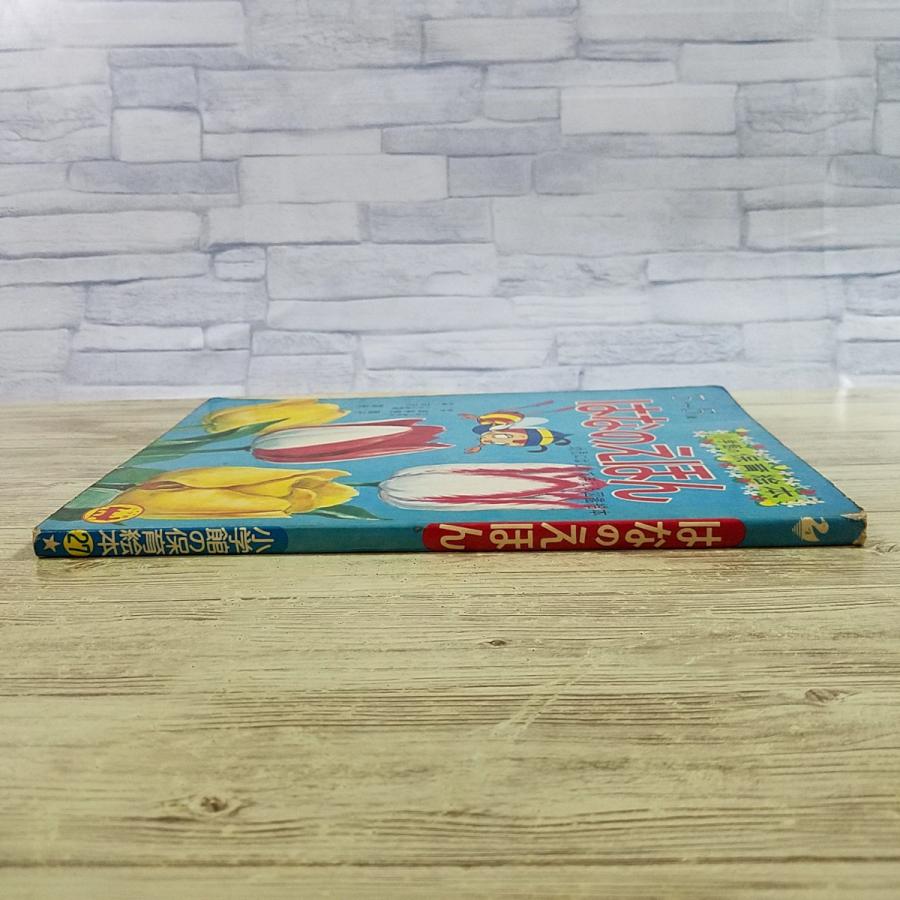 幼稚園～小学生向け本23冊 どっちが強い15巻セット 図鑑 絵本 児童書 幼稚園～小学生向け本23冊 どっちが強い15巻セット 図鑑 絵本 児童書