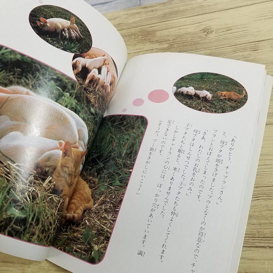 絵本[ファミリー版 子猫物語(1986年第1刷)] 畑正憲 ムツゴロウ 大