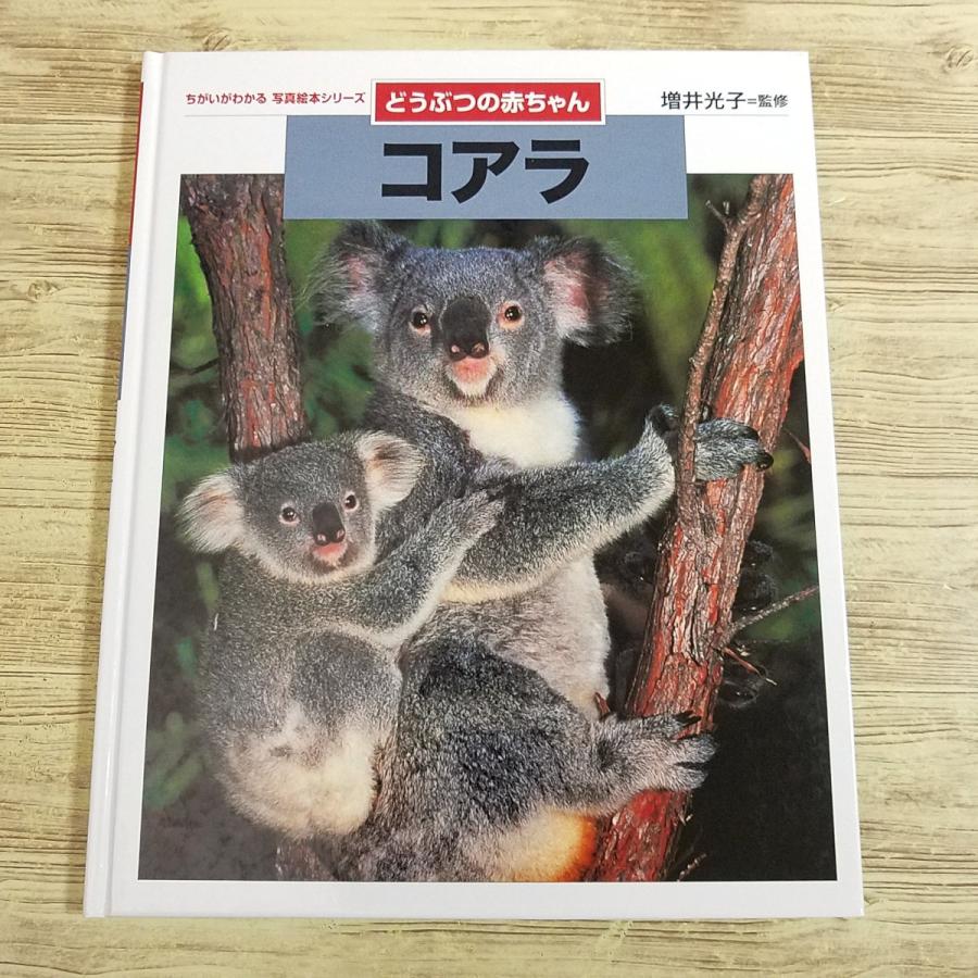 可愛い動物シリーズ洋書 絵本 まとめ売り 37冊セット 新品含む 期間限定特価】図鑑[ちがいがわかる 写真絵本シリーズ どうぶつの