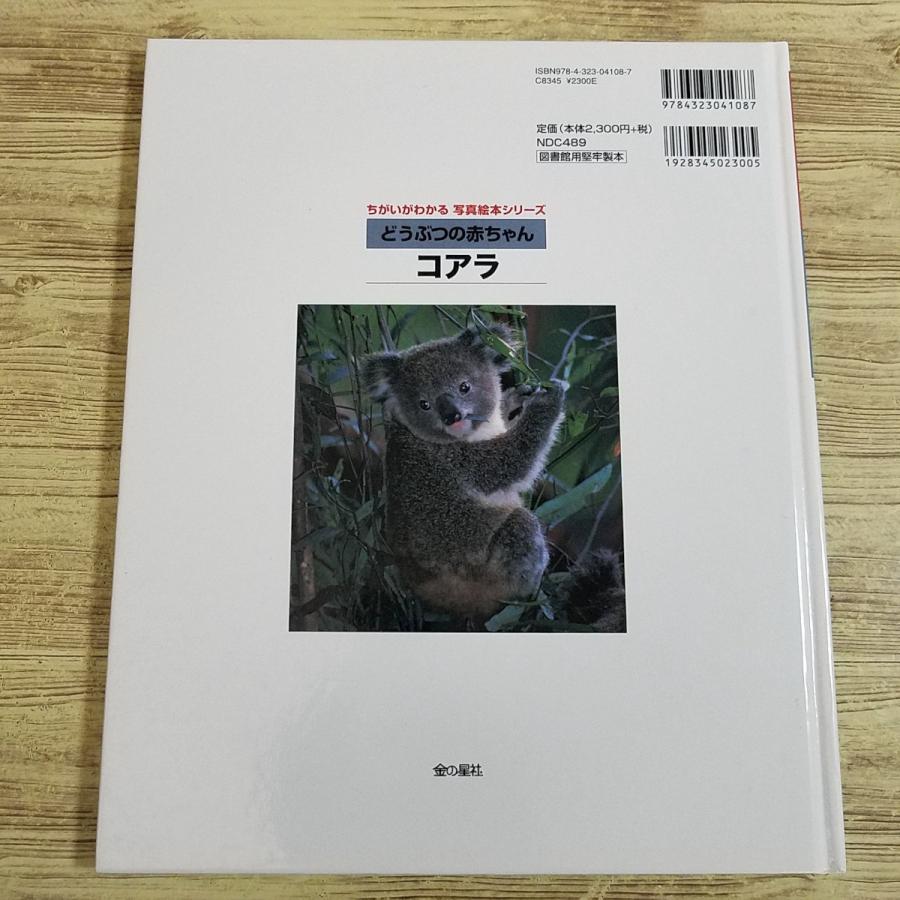 可愛い動物シリーズ洋書 絵本 まとめ売り 37冊セット 新品含む 期間限定特価】図鑑[ちがいがわかる 写真絵本シリーズ どうぶつの