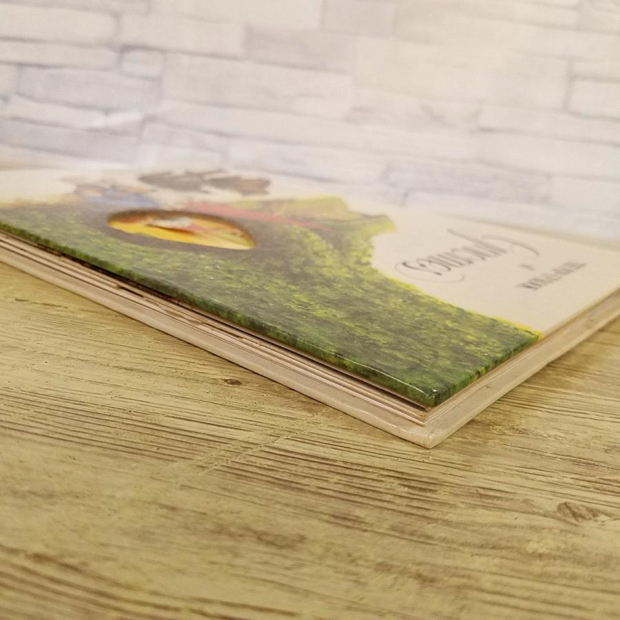 仕掛絵本[THE POP-UP BOOK of gnomes] 森の小人 ノーム ポップアップ