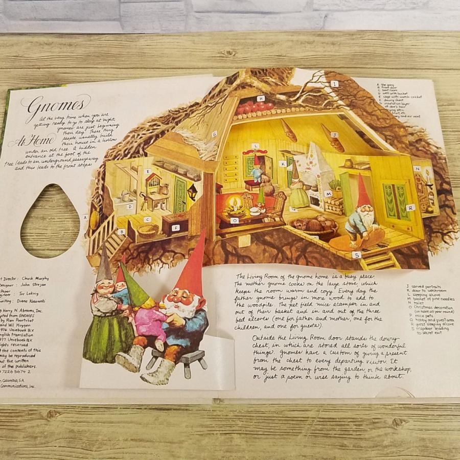 仕掛絵本[THE POP-UP BOOK of gnomes] 森の小人 ノーム ポップアップ