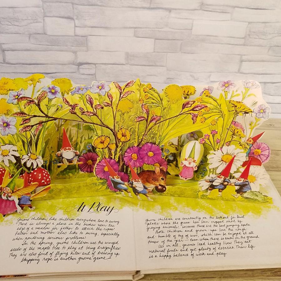 仕掛絵本[THE POP-UP BOOK of gnomes] 森の小人 ノーム ポップアップ