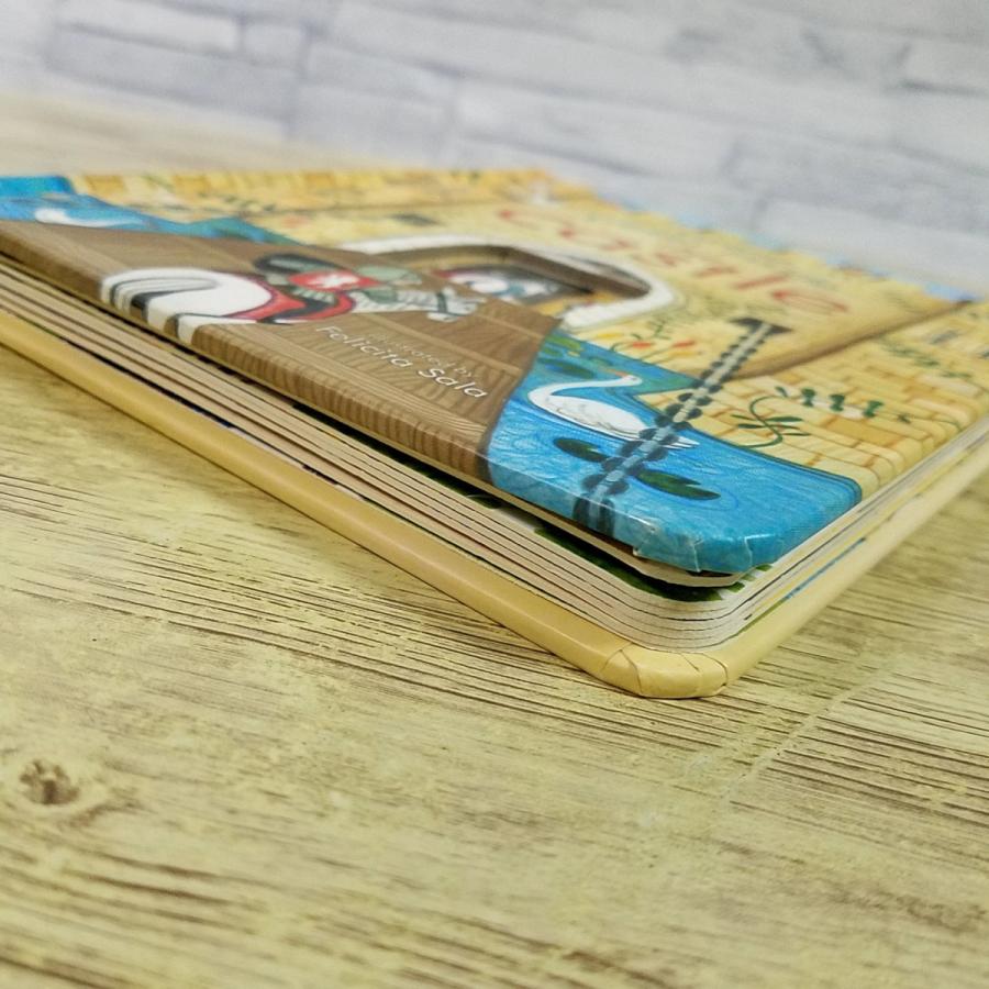 peep inside usborne しかけ 絵本 英語 11冊 peep inside usborne