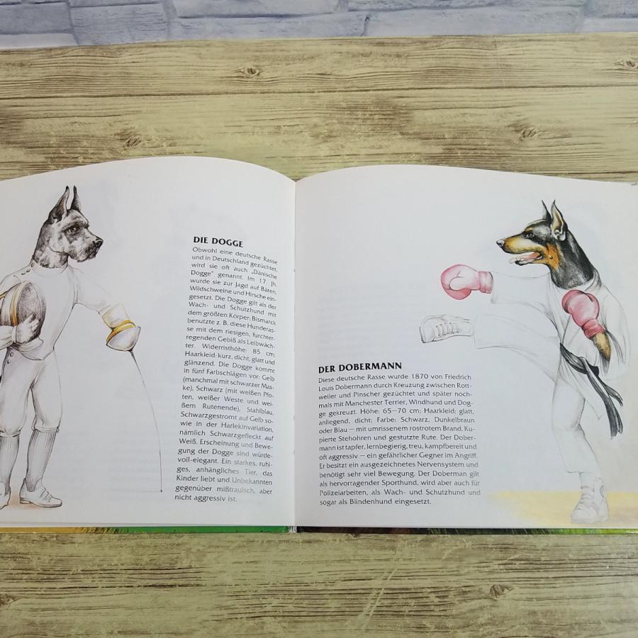 外国語絵本[HUNDEN 擬人化された犬の絵図鑑] 洋書 ドイツ語絵本 犬の