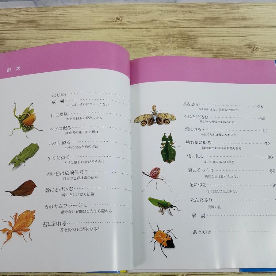 図鑑[昆虫たちの擬態： 昆虫の驚くべき戦略、威嚇からカムフラージュ