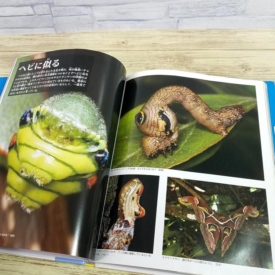 図鑑[昆虫たちの擬態： 昆虫の驚くべき戦略、威嚇からカムフラージュ