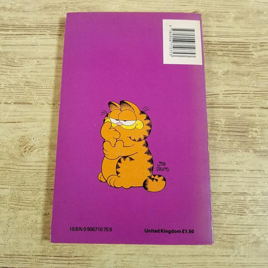 「Garfield ガーフィールド」 洋書　コミック 10冊 Garfield ガーフィールド」 洋書 コミック 10冊 洋書Garfield