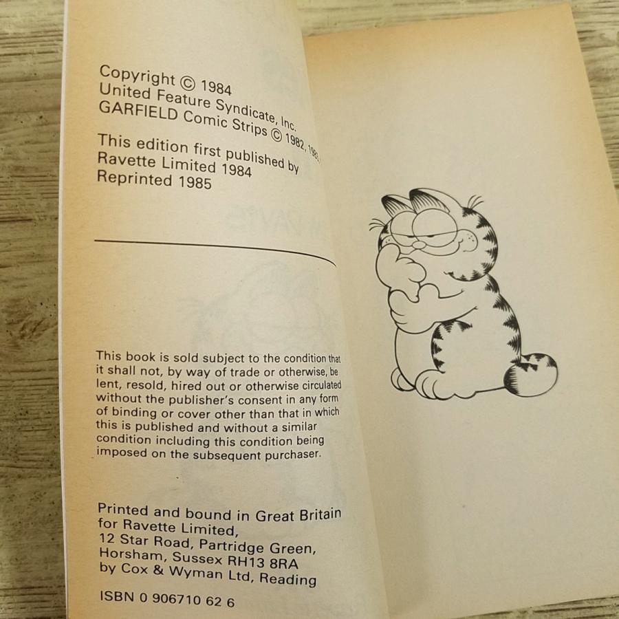 海外コミック[ガーフィールド GARFIELD : Strikes Again] 洋書 英語