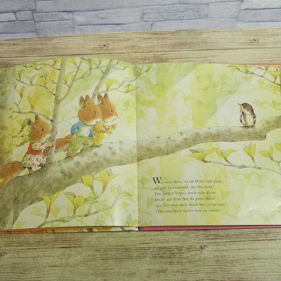 絵本・児童書 Der Schilderputzer Der Gedankensammler 絵本・児童書 Der Schilderputzer Der Gedankensammler ビネッテ・シュ
