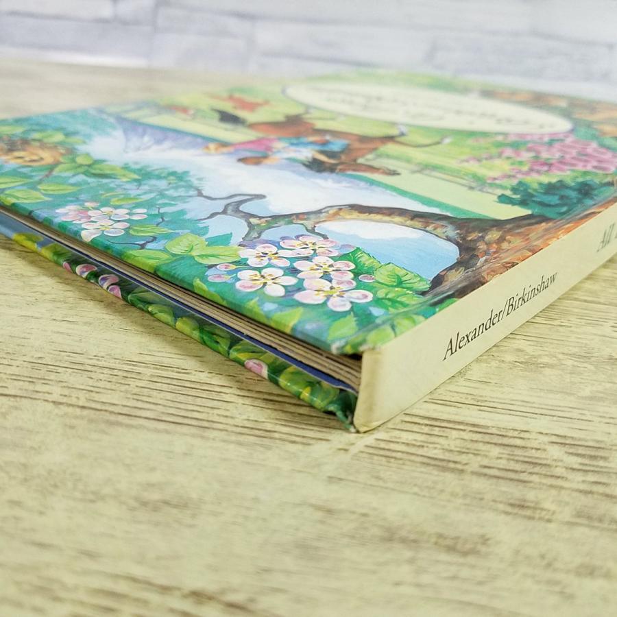 仕掛絵本[すべてのものは明るく美しい All Things Bright and