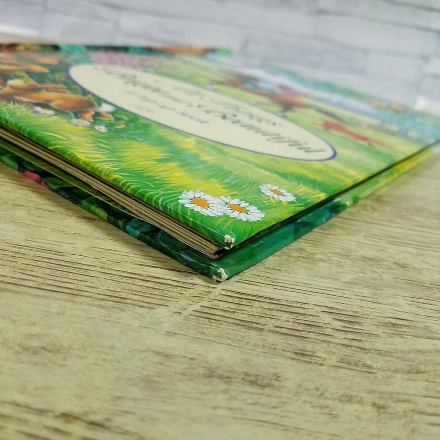 飛び出す絵本6冊セット　仕掛け絵本　洋書　アンティーク 飛び出す絵本6冊セット 仕掛け絵本 洋書 アンティーク 【公式通販】