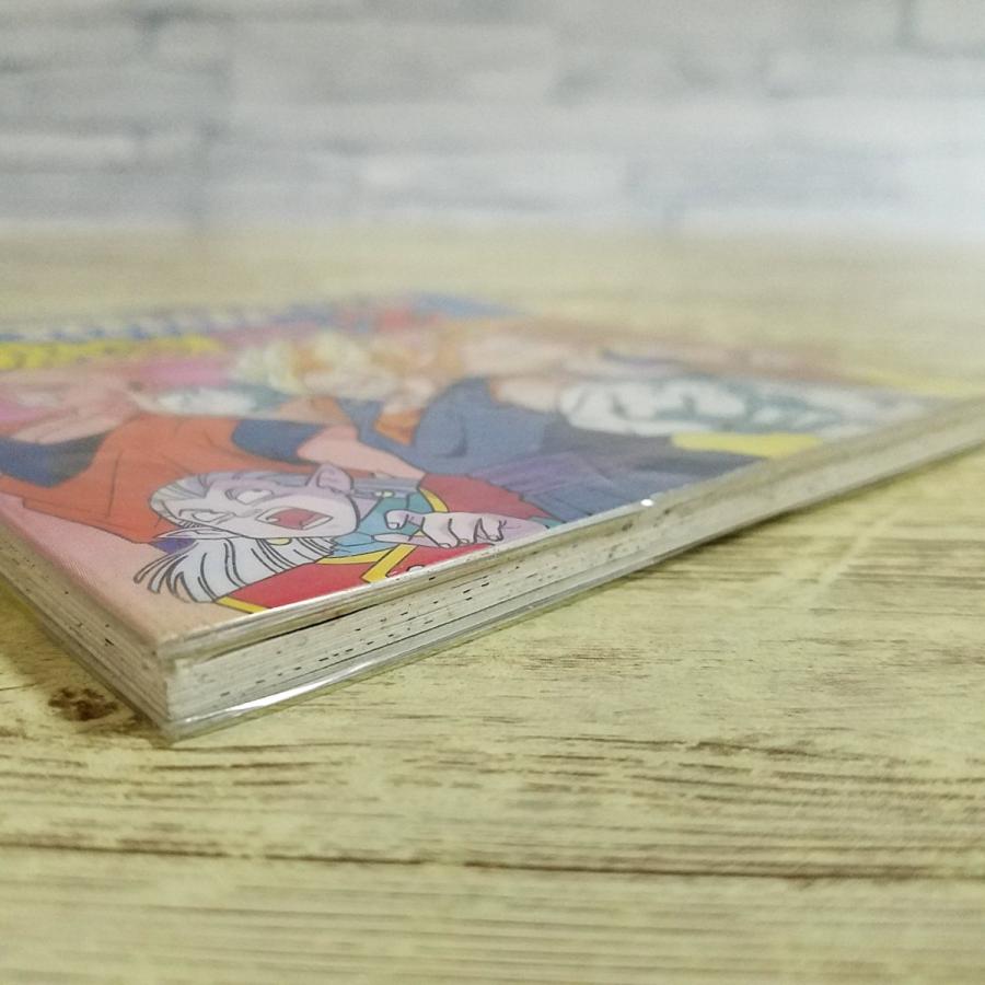 期間限定特価】ぬりえ[(スリップ付・全て未塗り)ショウワワコーの