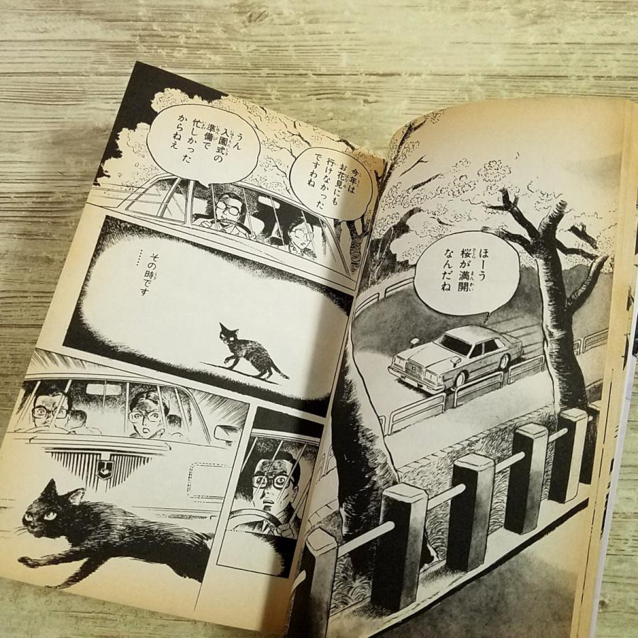 恐怖マンガ[浜慎二 恐怖！たたりの黒猫] 浜慎二 リップウ書房レモン