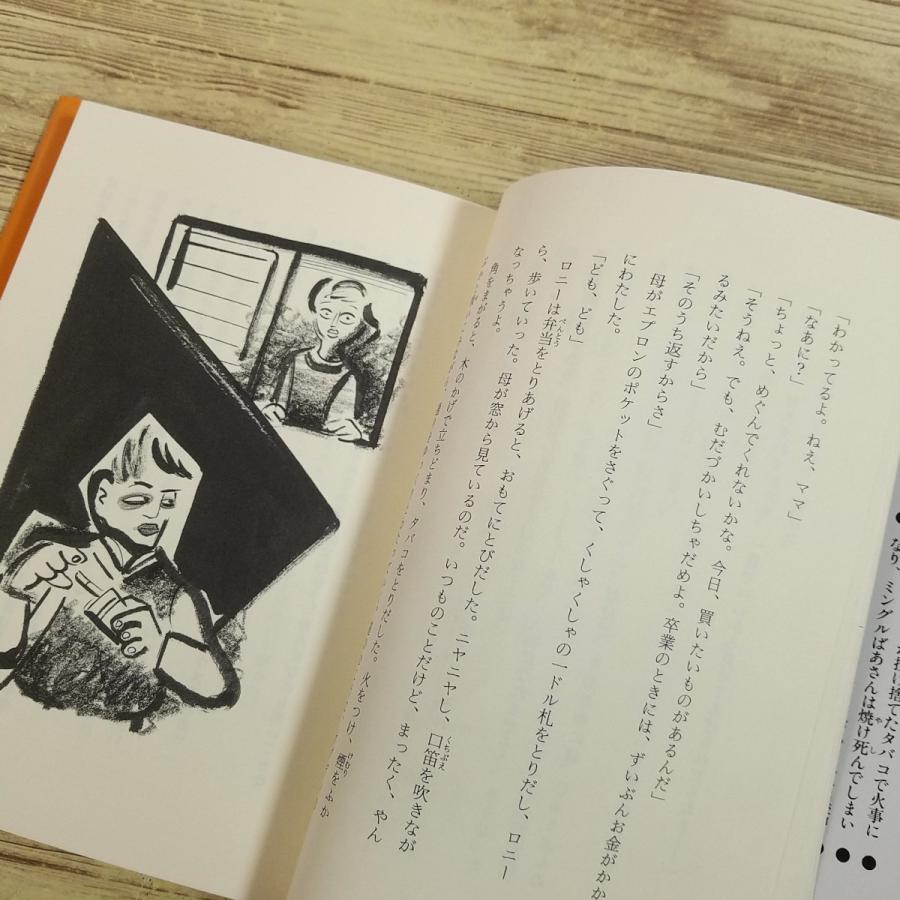 児童文学[恐怖と怪奇名作集6 猫の影] 岩崎書店 怪奇話4編 ロバート