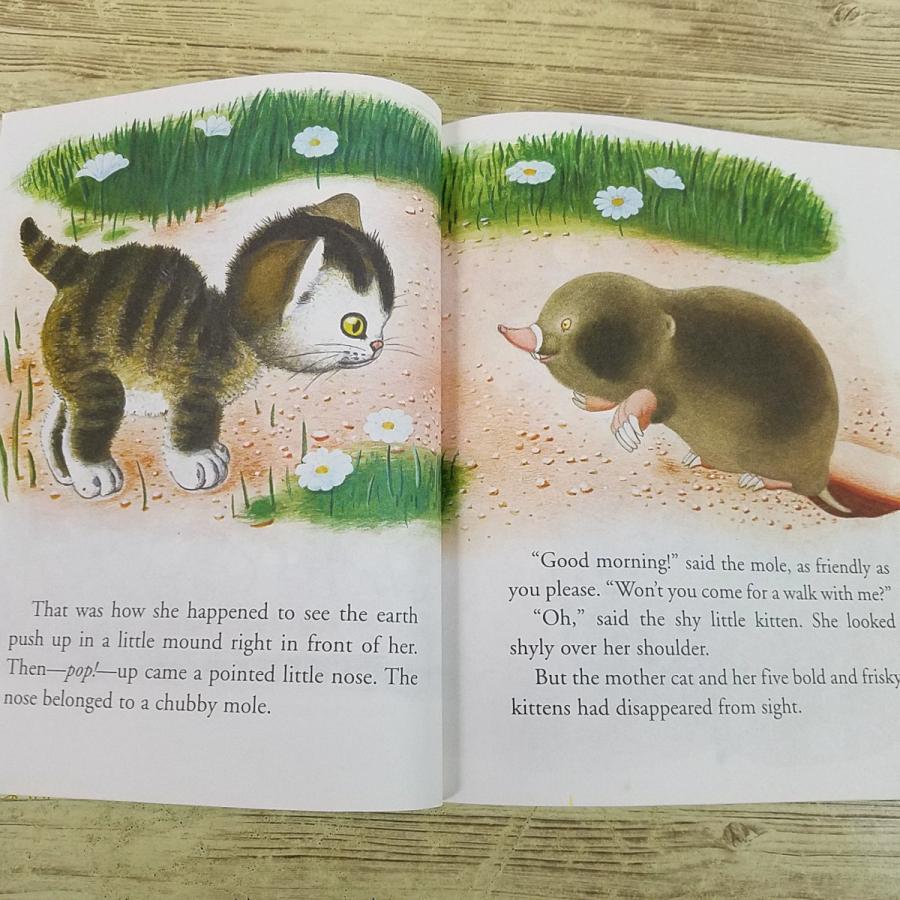 外国語絵本[はずかしがりやの子ネコ The Shy Little Kitten] 洋書 英語