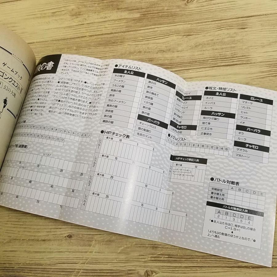 ゲームブック[ドラゴンクエストVI （1） 幻の大地(初版・冒険の書未