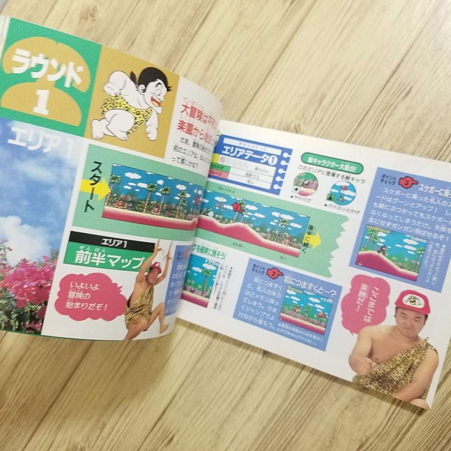 攻略本[高橋名人の大冒険島 ハドソン公式ガイドブック] ワンダーライフ