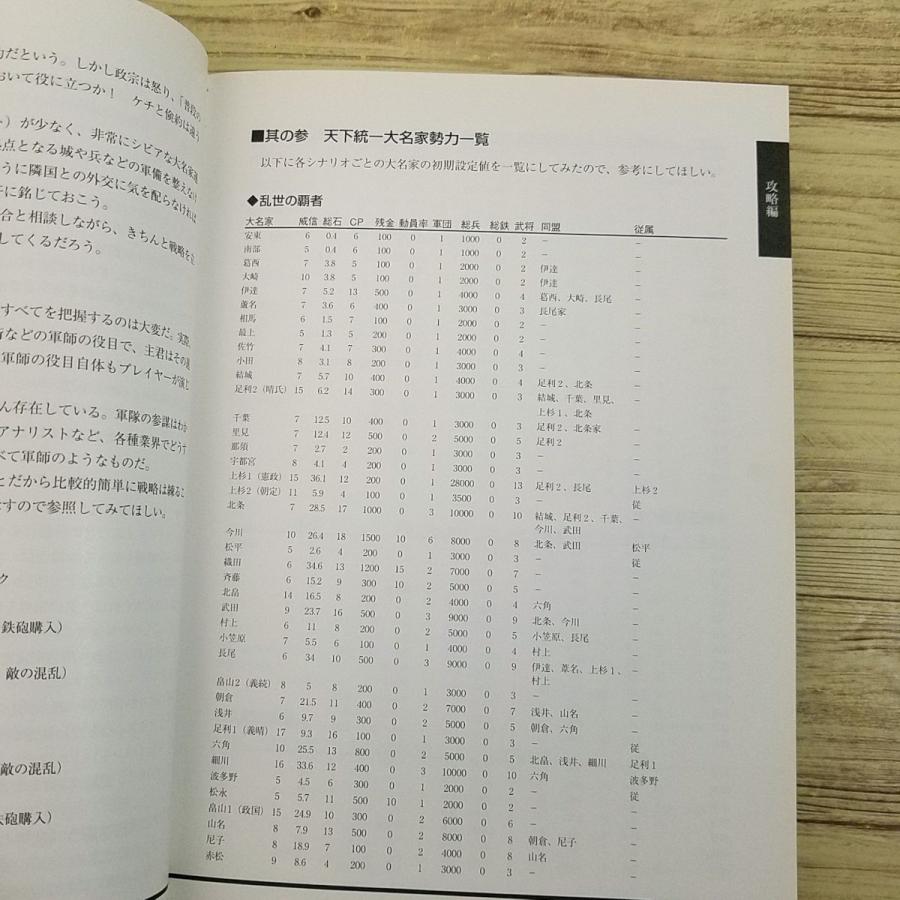 期間限定特価】攻略本[天下統一 乱世の覇者 パーフェクトガイド] 1997