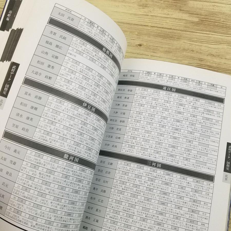 期間限定特価】攻略本[天下統一 乱世の覇者 パーフェクトガイド] 1997