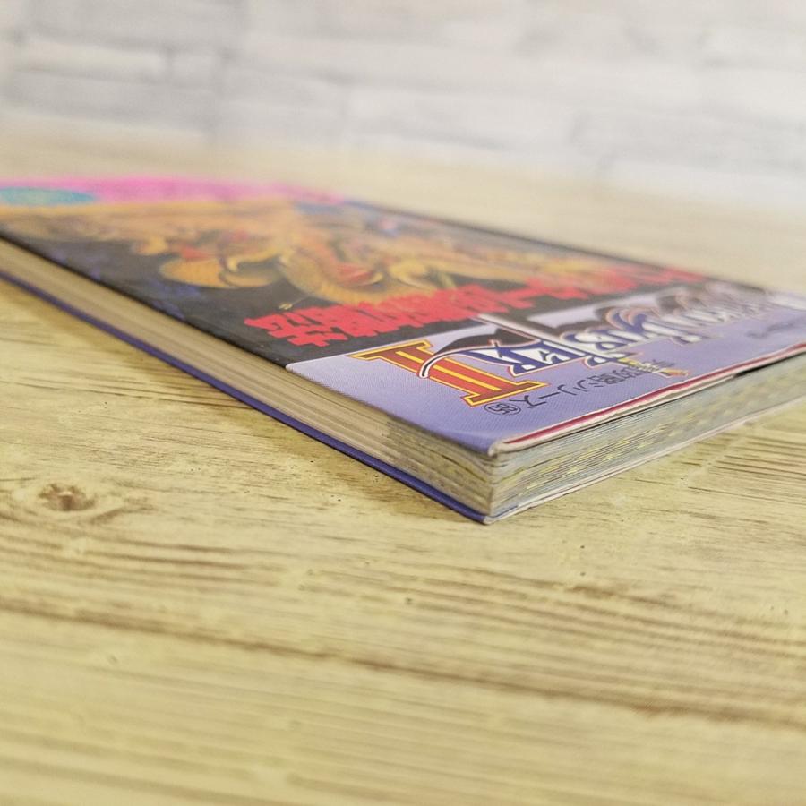 攻略本[ドラゴンバスターII 必勝攻略法] 全迷宮マップ公開 ファミコン