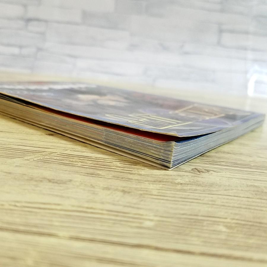 TCG[マジック：ザ・ギャザリング プレーンシフト公式ハンドブック