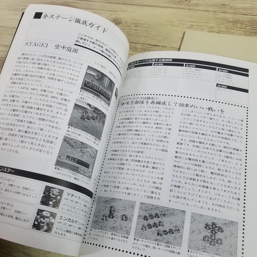 攻略本[(別冊付録あり)緋王伝 魔物達との誓い 公式ガイドブック