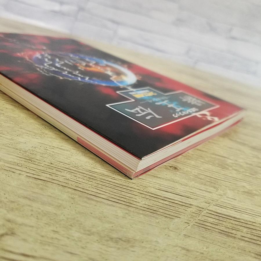 スーパーファミコン　緋王伝ソフト+公式ガイドブックセット 攻略本[(別冊付録あり)緋王伝 魔物達との誓い 公式ガイドブック