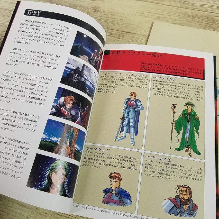 攻略本[(別冊付録あり)緋王伝 魔物達との誓い 公式ガイドブック
