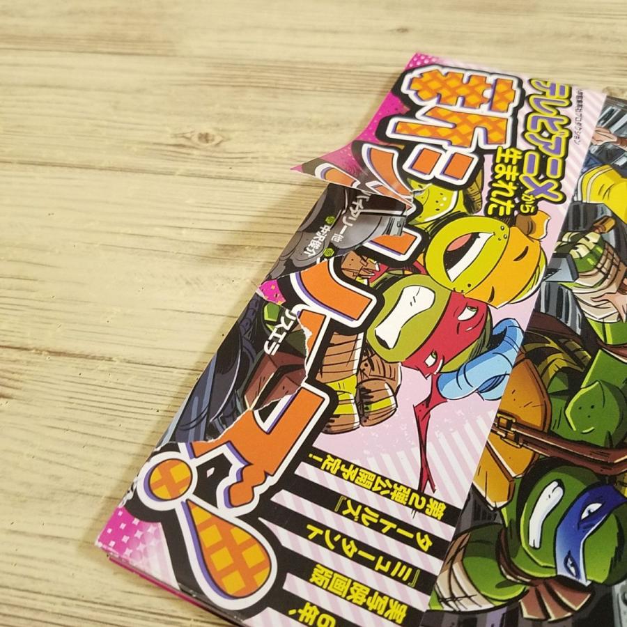 アメコミ[ミュータント タートルズ : アニメイテッド（帯破損